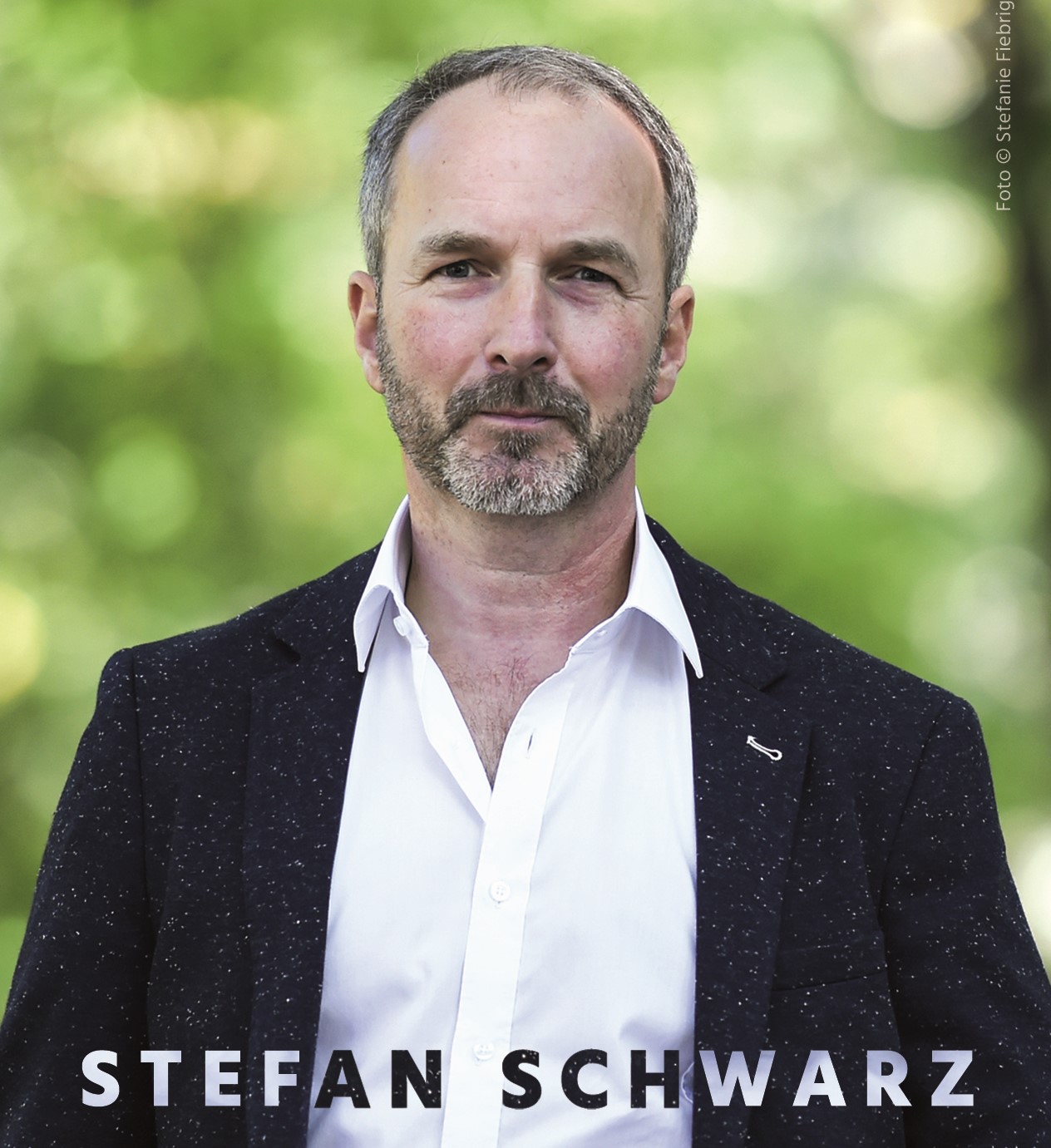 Stefan Schwarz